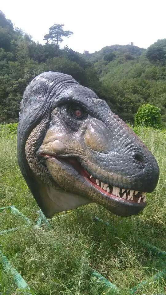 webwxgetmsgimg[8].jpg